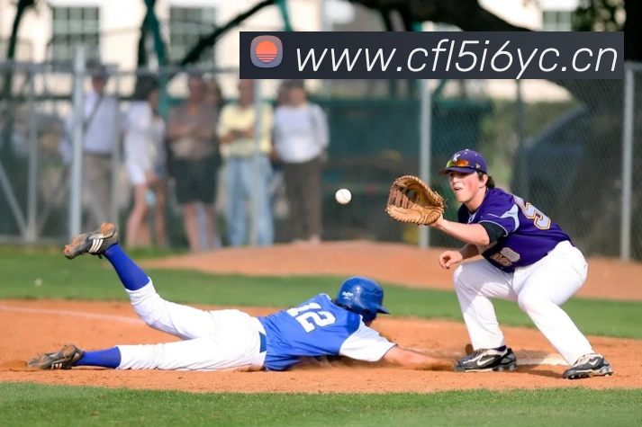 mksport体育官网入口平台生态图